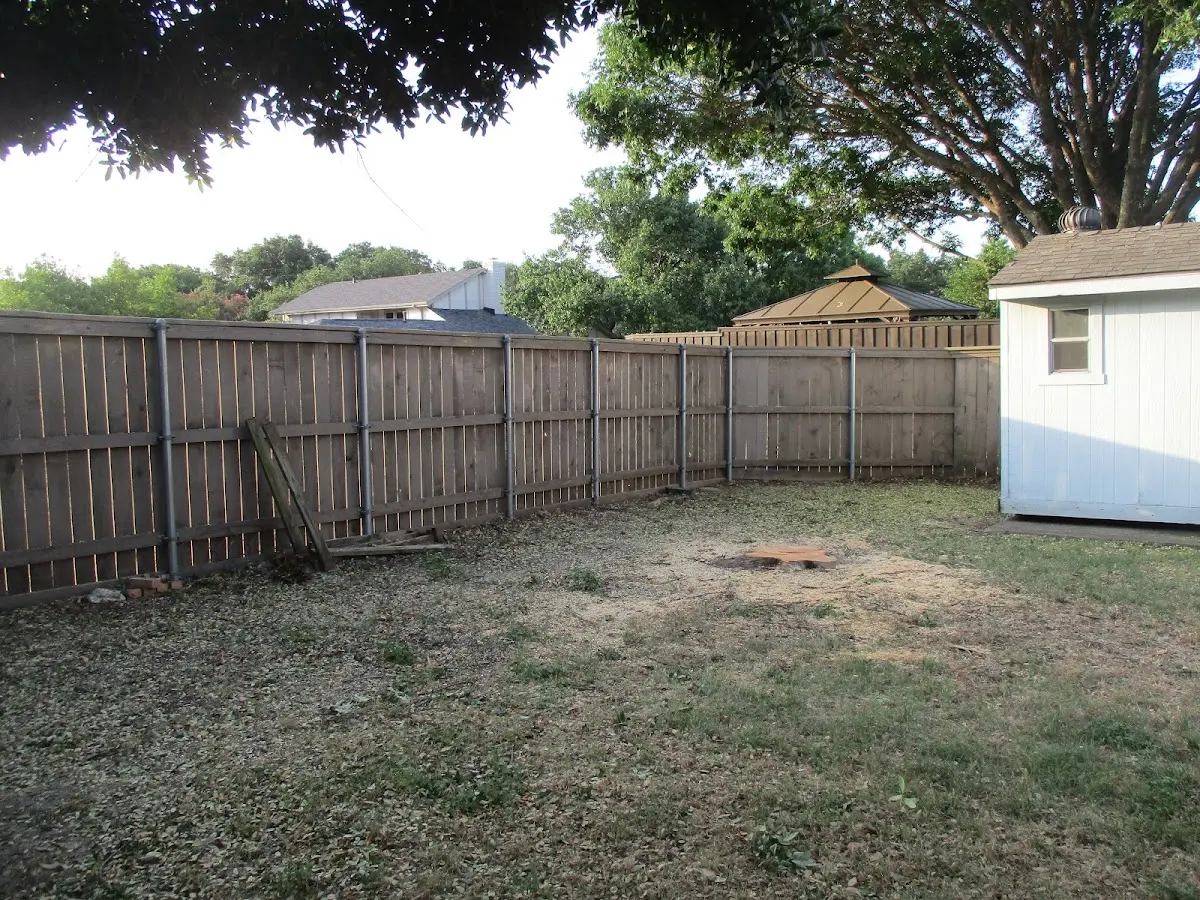 Cleared yard after professional tree removal in Hightstown
